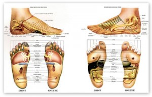 Apprenez la réflexologie en ligne. Technique de relaxation, réflexologie des pieds, réflexologie des mains. Apprenez à masser
