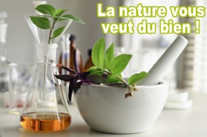PHYTOTHERAPIE: Le bien-être et la santé au naturel