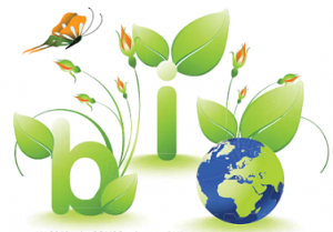 une bonne alimentation c'est manger bio