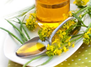 Huiles alimentaires: huile végétale, huile de noix, huile de soja, huile de friture, huile olive
