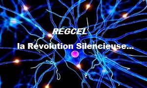 Oubliez vos douleurs: REGCEL la Révolution Silencieuse…
