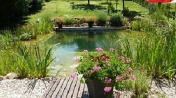 Construire une piscine naturelle: Une méthode de qualité moins chère ! Comment construire sa piscine naturelle