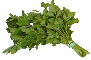 Les vertus du persil