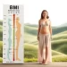 Courbe de poids santé basée sur l'IMC pour femme, mettant en avant les plages idéales.