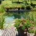 Comment construire sa piscine naturelle